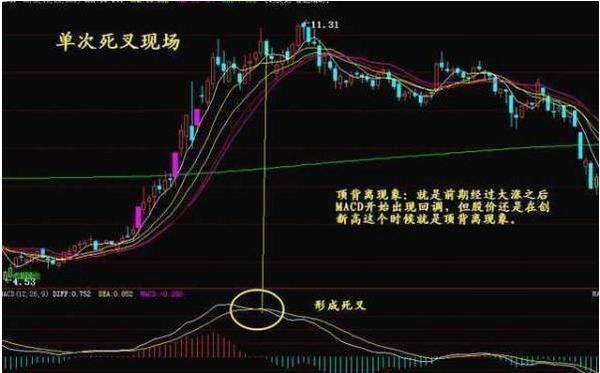 十拿九稳的预测艺术，双色之谜的深度解析