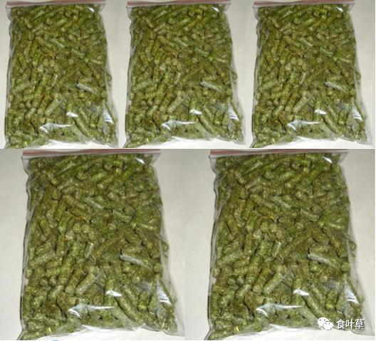 豆粕价格走势分析及其对饲料行业的影响——基于行业信息网的最新数据