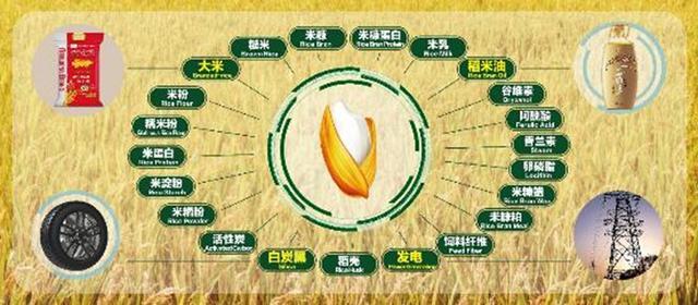 黑龙江体彩十一选五开奖查询，便捷查询、乐趣无限