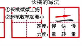 三的笔顺详解与书写技巧