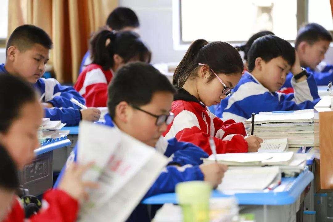 澳门未来彩业展望，2035年每日彩票新篇章的探索与期待—以天天开好为视角解读最新版发展动态分析报告澳门天天开彩网