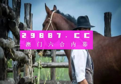 203年澳门全年资料免费大全，探索与分享的旅程开启！2023澳门全年资料免费大全藏宝图