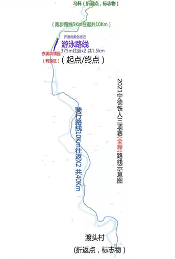 一肖三码的奥秘与解析一肖三码 大公开