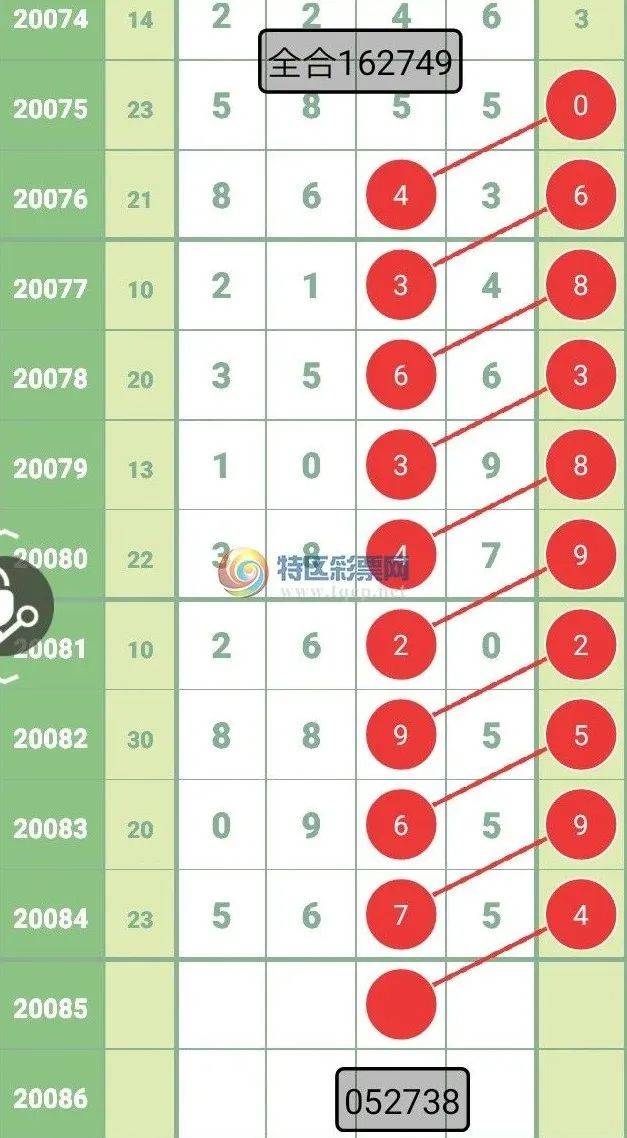 20年磨一剑，回顾与展望—基于新奥历史开奖记录第51-63期（共84次）的深度分析报告2024新奥历史开奖记录52期走势