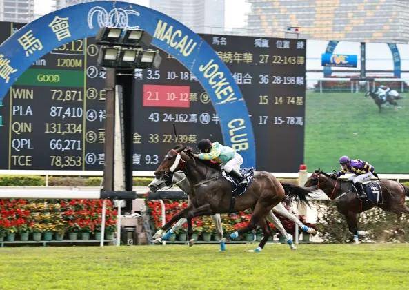 香港赛馬會資料 2 . 全集