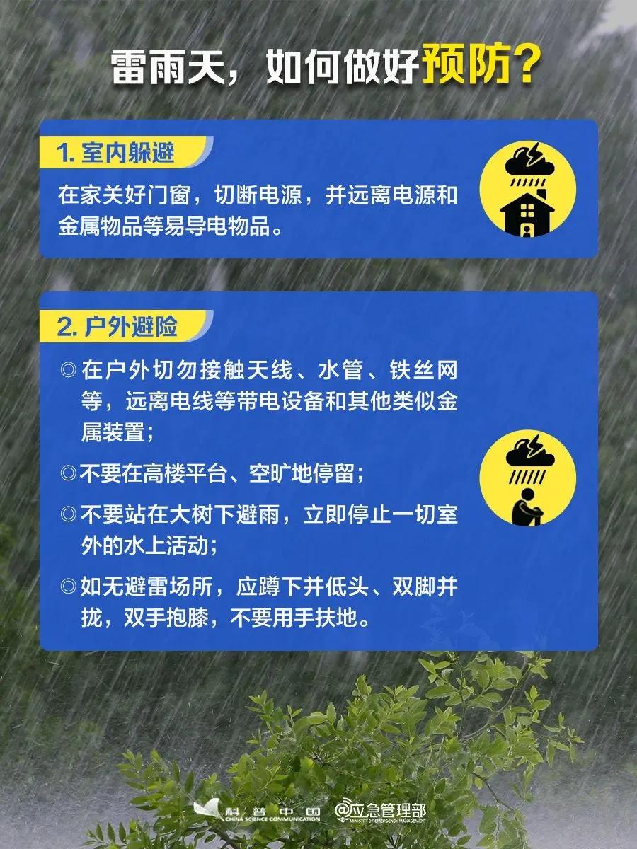 新奥门319期资料介绍及最新版下载指南，全面解析与实用教程！193期澳门专区