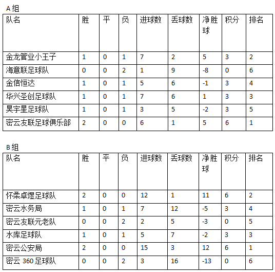 新奥门开奖结果查询表格制作指南新奥门开奖结果查询表格怎么做啊怎么打印