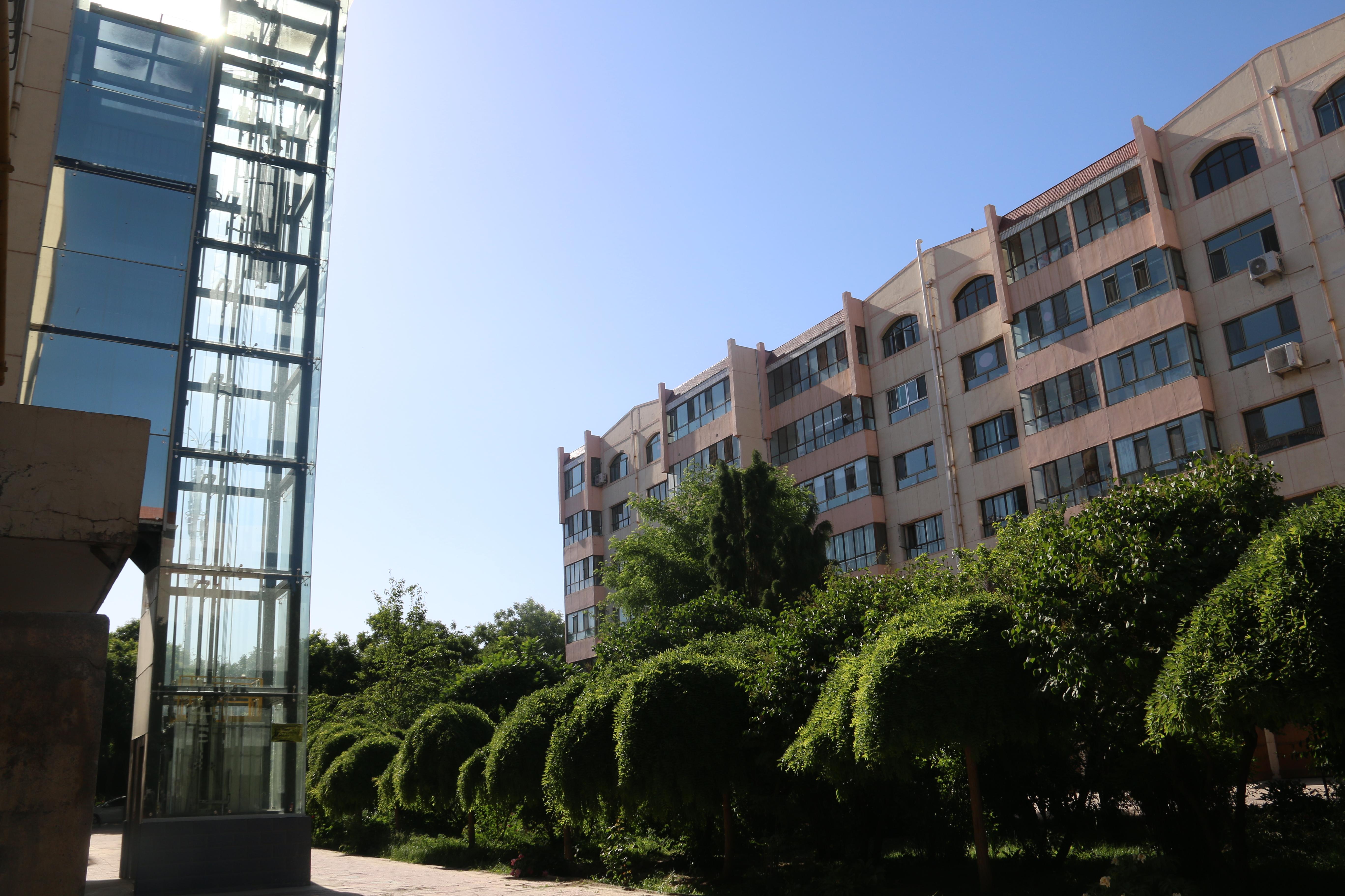 新奥门六开奖号码查询，今晚12日之前的结果揭晓新奥六开彩开奖结果2020