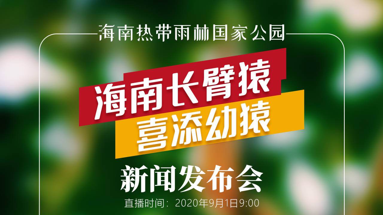 新奥门开奖直播时间最新消息与查询结果解析新澳门开奖