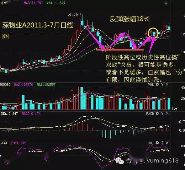新奥门开奖走势图片大全，简单易懂视频解读，助你掌握趋势！新奥门开奖走势图片大全简单易懂视频下载