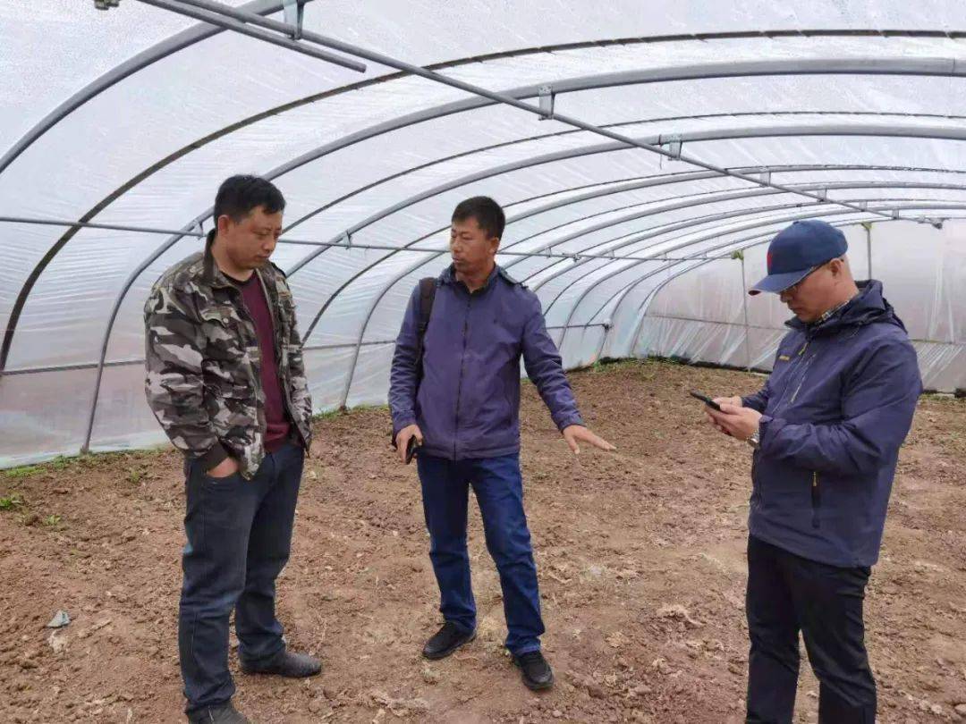 奥门今天开彩结果查询